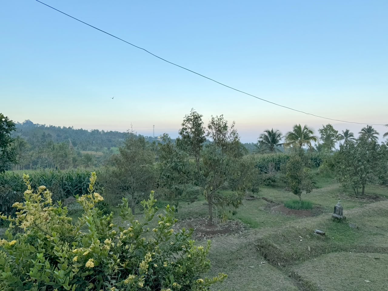 Galeri